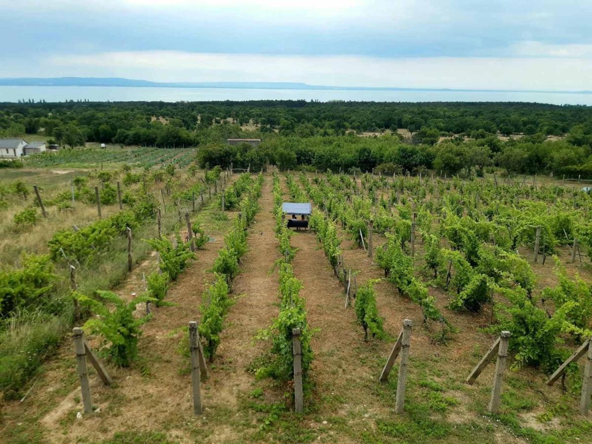 Napraszállás Vendégház Balatonakali Exterior foto