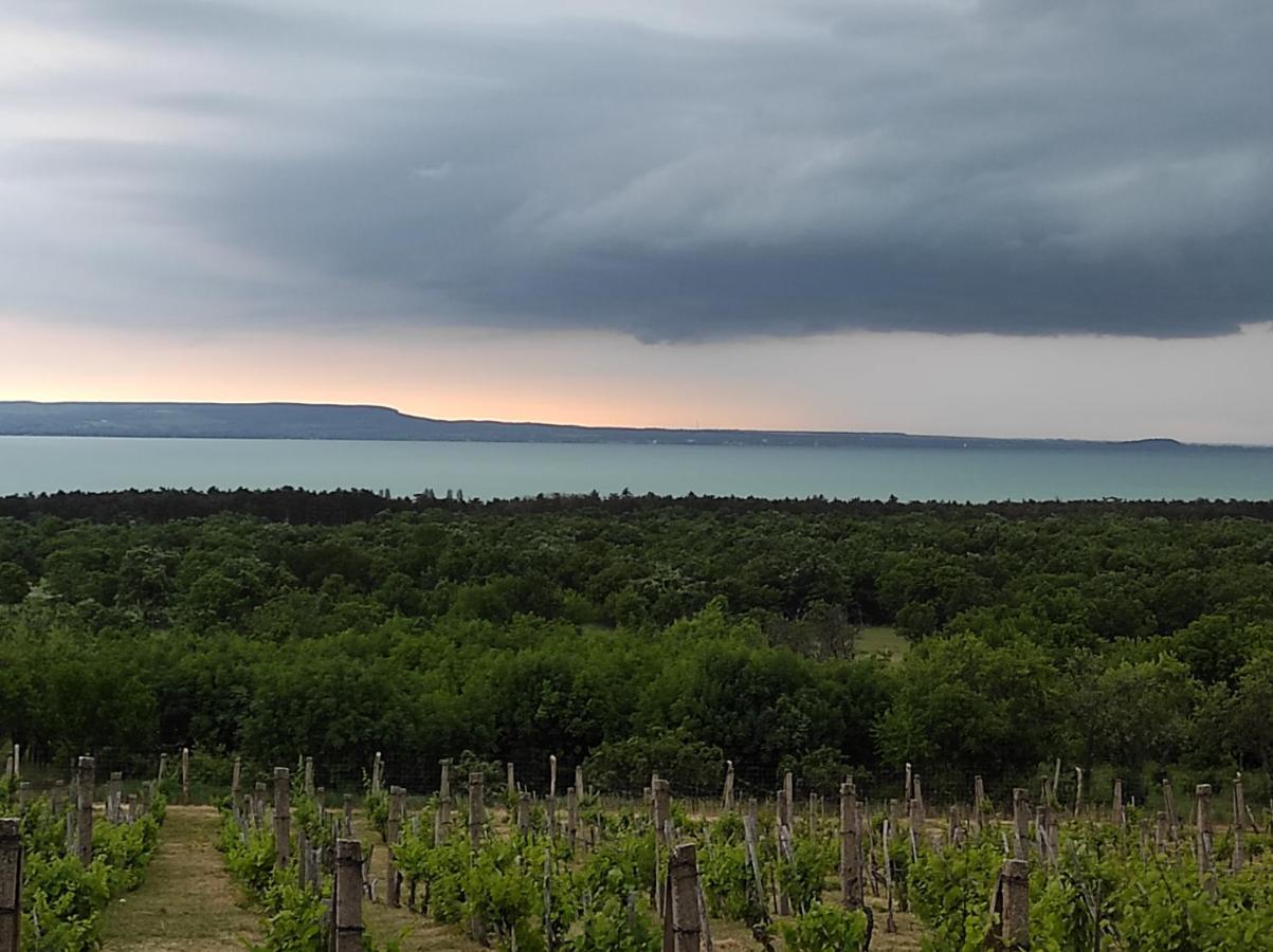 Napraszállás Vendégház Balatonakali Exterior foto