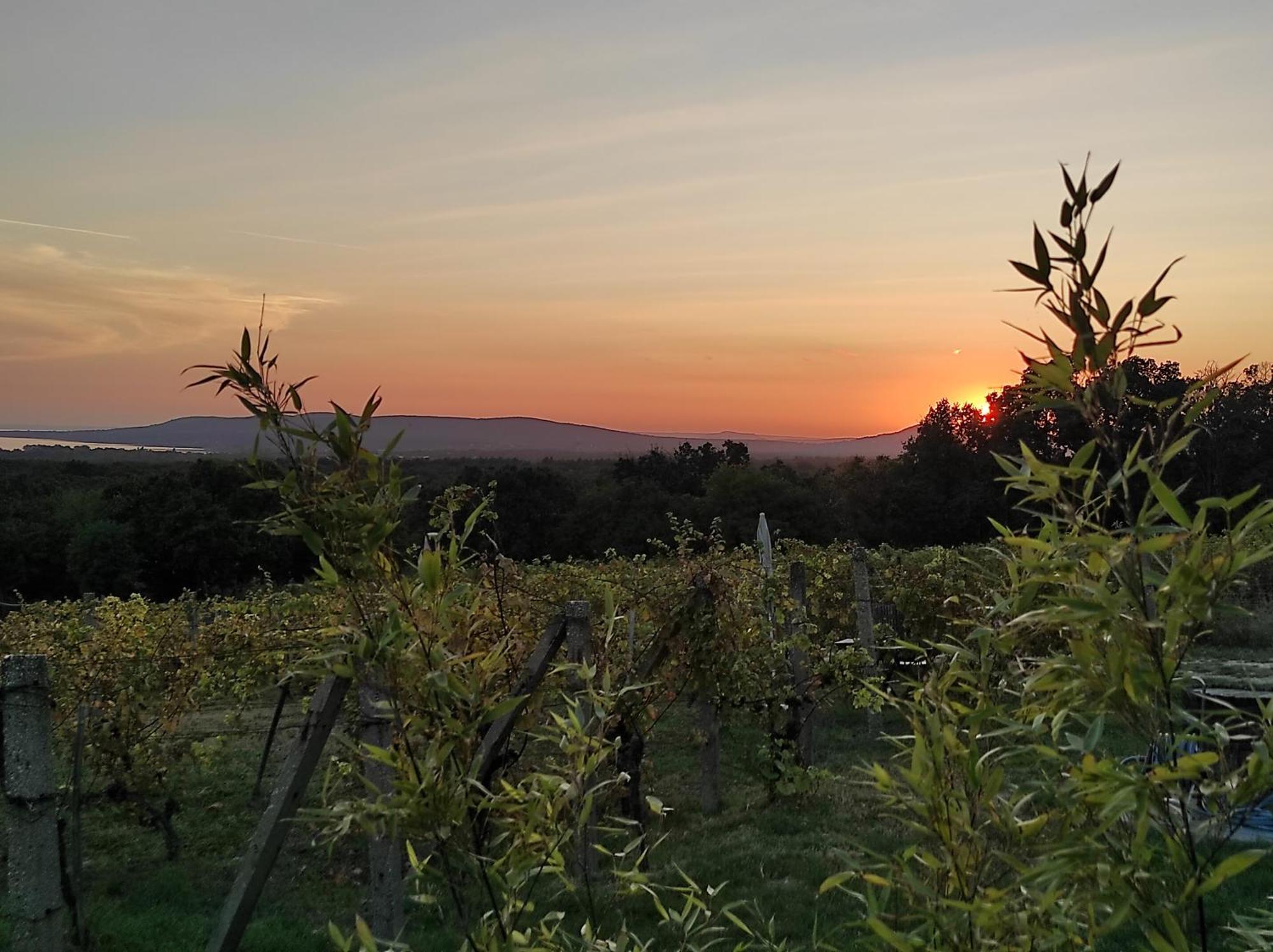 Napraszállás Vendégház Balatonakali Exterior foto